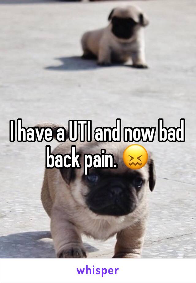 I have a UTI and now bad back pain. 😖