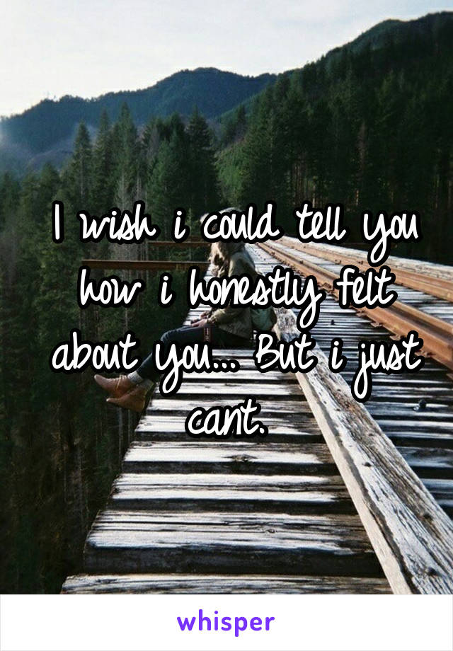 I wish i could tell you how i honestly felt about you... But i just cant. 