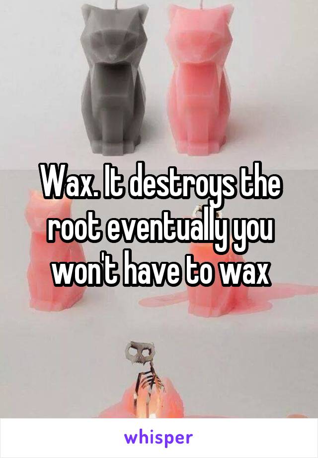 Wax. It destroys the root eventually you won't have to wax