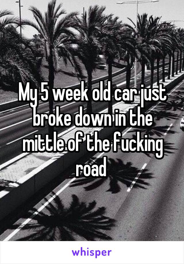 My 5 week old car just broke down in the mittle of the fucking road 