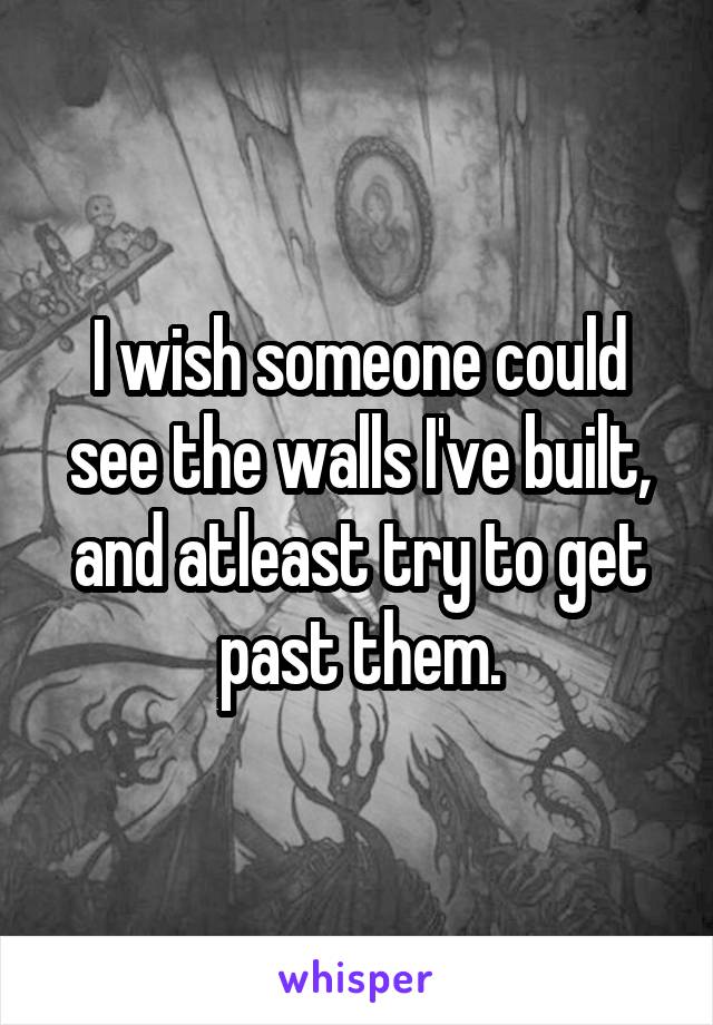 I wish someone could see the walls I've built, and atleast try to get past them.