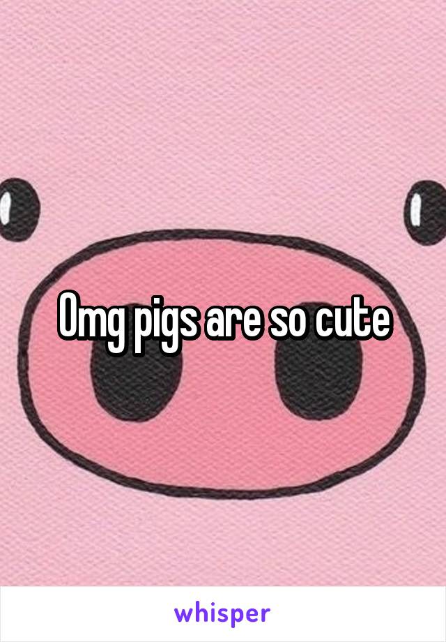 Omg pigs are so cute