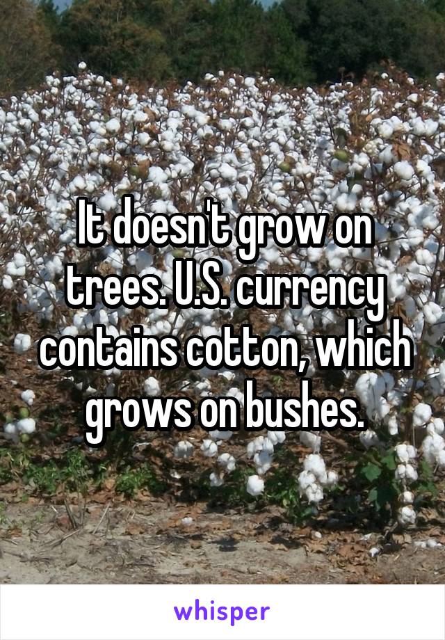 It doesn't grow on trees. U.S. currency contains cotton, which grows on bushes.