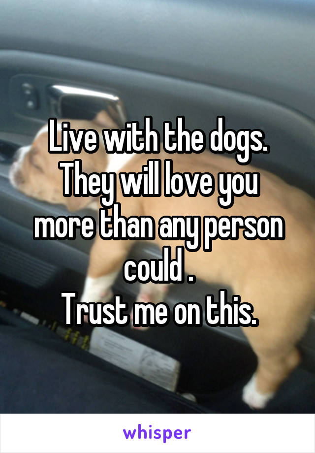 Live with the dogs.
They will love you more than any person could .
Trust me on this.