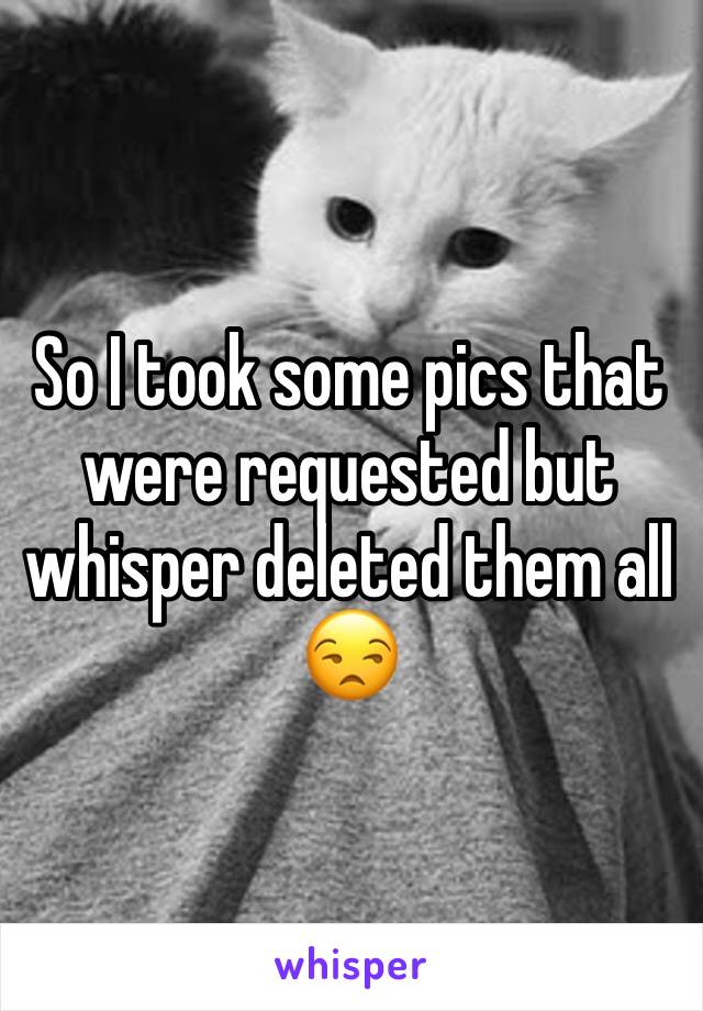 So I took some pics that were requested but whisper deleted them all 😒