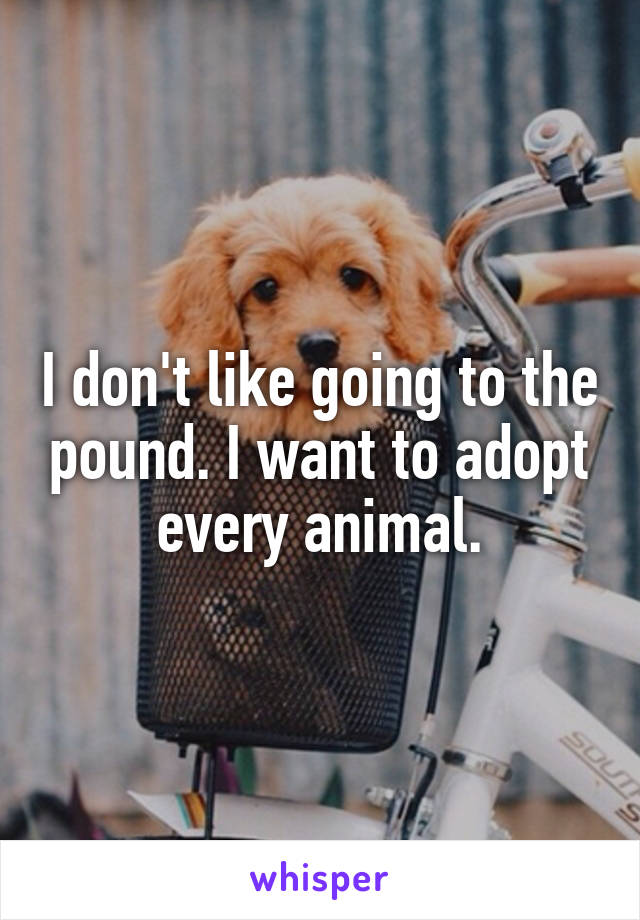 I don't like going to the pound. I want to adopt every animal.