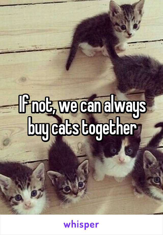 If not, we can always buy cats together