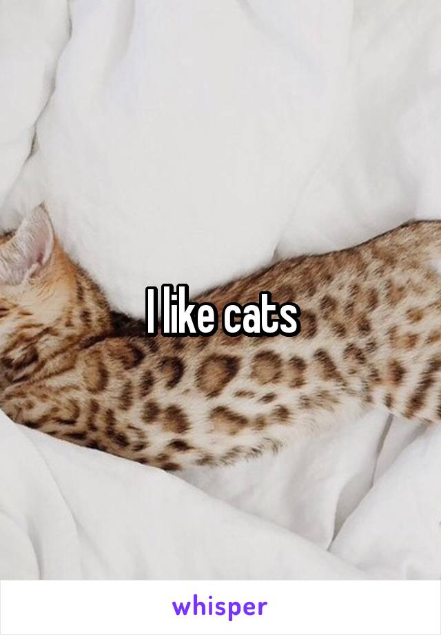 I like cats