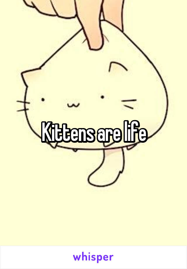 Kittens are life