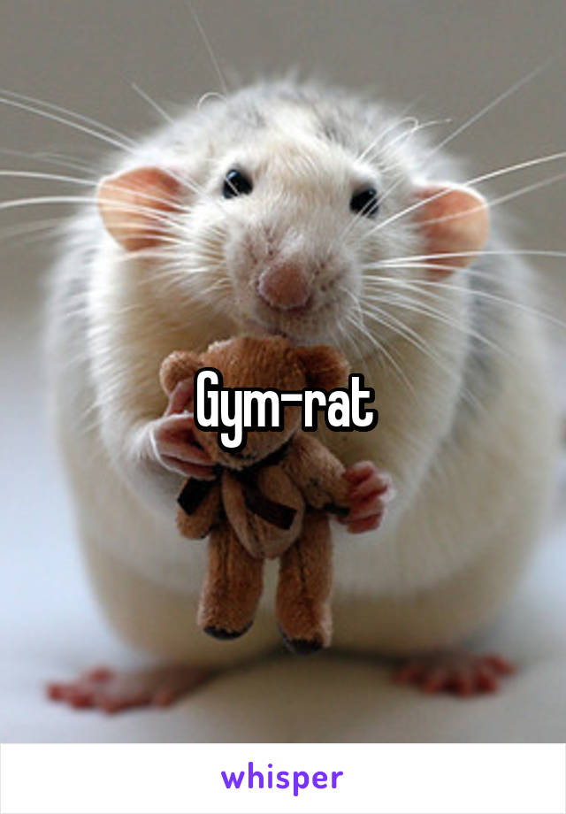 Gym-rat