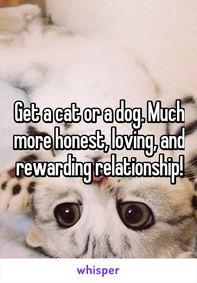 Get a cat or a dog. Much more honest, loving, and rewarding relationship!