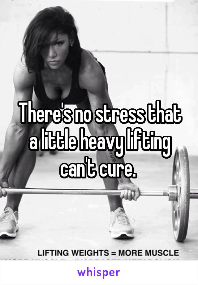 There's no stress that a little heavy lifting can't cure. 