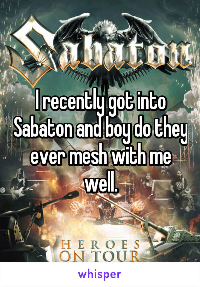 I recently got into Sabaton and boy do they ever mesh with me well.