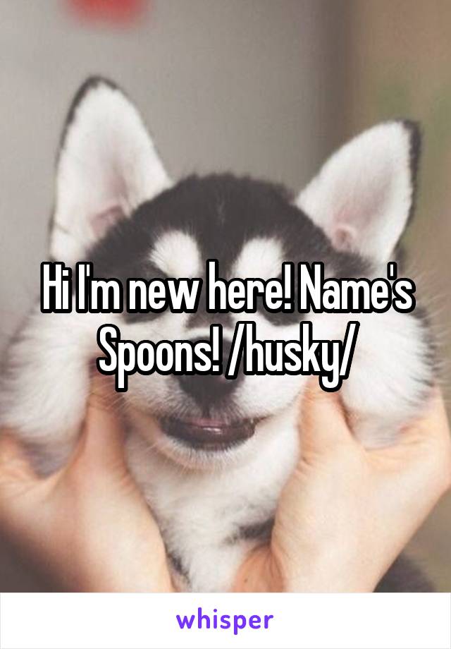 Hi I'm new here! Name's Spoons! /husky/