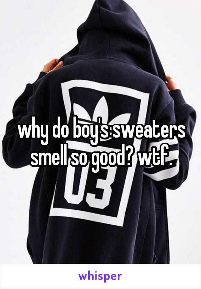 why do boy's sweaters smell so good? wtf.