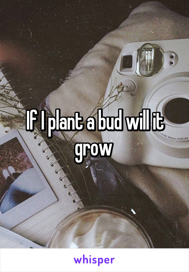 If I plant a bud will it grow 