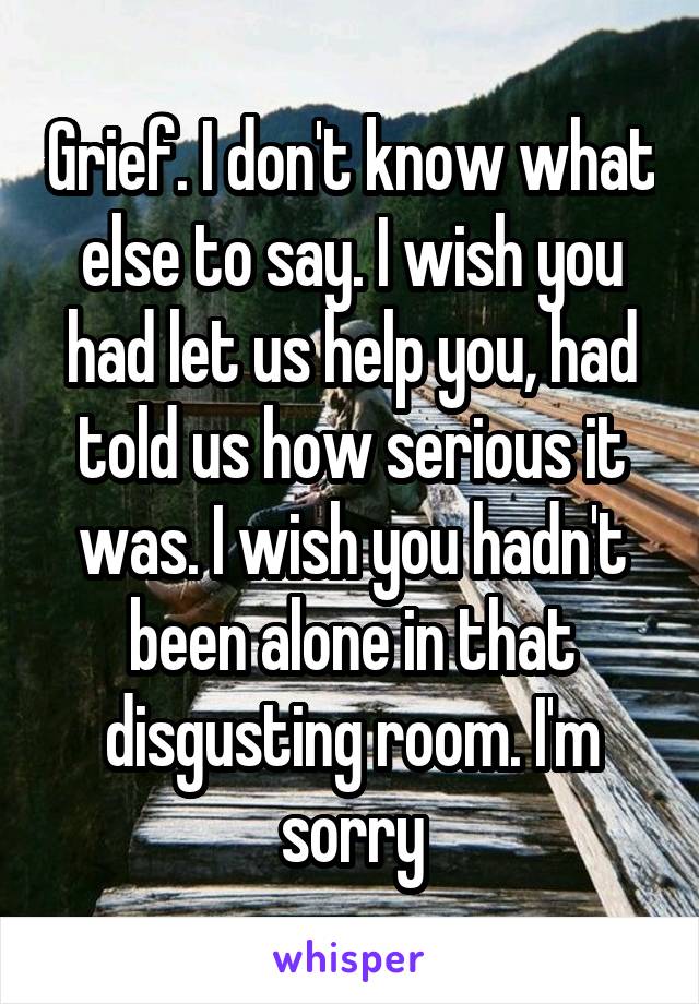 Grief. I don't know what else to say. I wish you had let us help you, had told us how serious it was. I wish you hadn't been alone in that disgusting room. I'm sorry