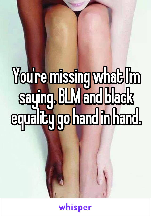 You're missing what I'm saying. BLM and black equality go hand in hand. 