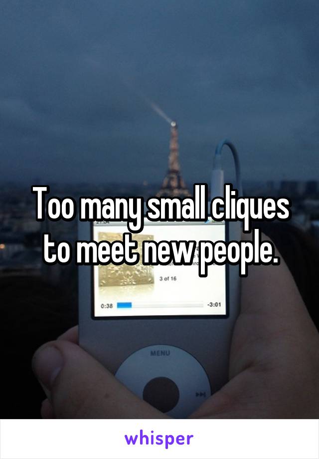 Too many small cliques to meet new people.