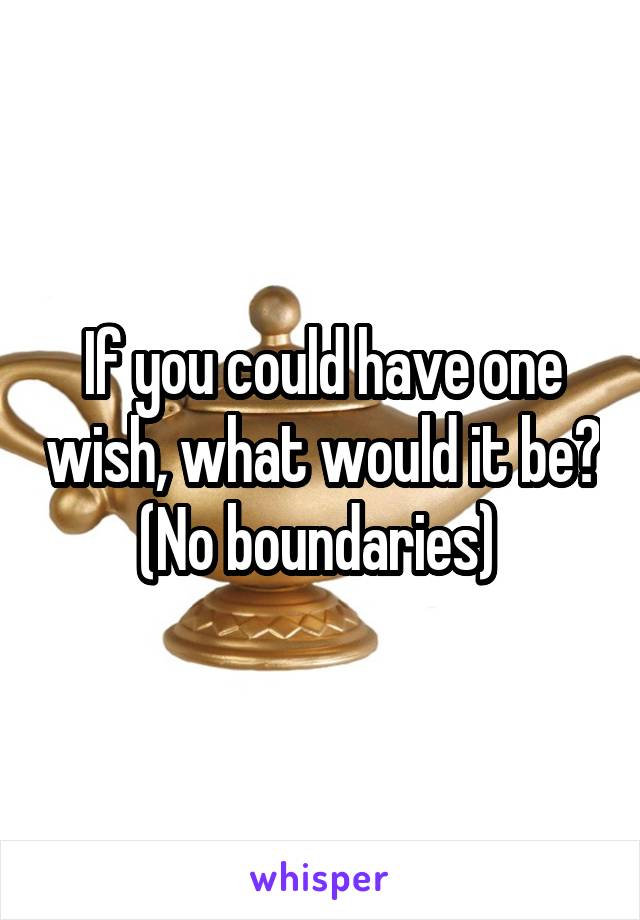 If you could have one wish, what would it be? (No boundaries) 