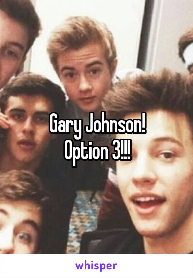 Gary Johnson!
Option 3!!!