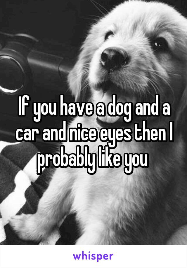 If you have a dog and a car and nice eyes then I probably like you 