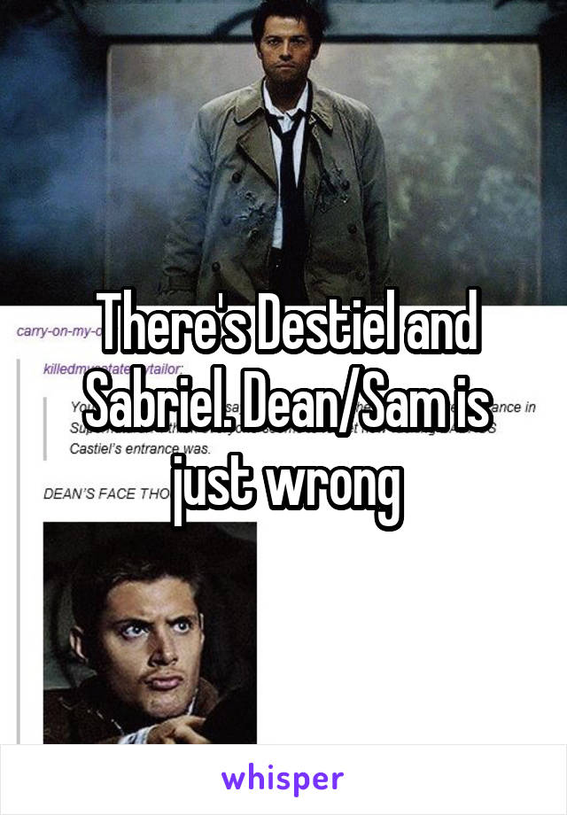 There's Destiel and Sabriel. Dean/Sam is just wrong