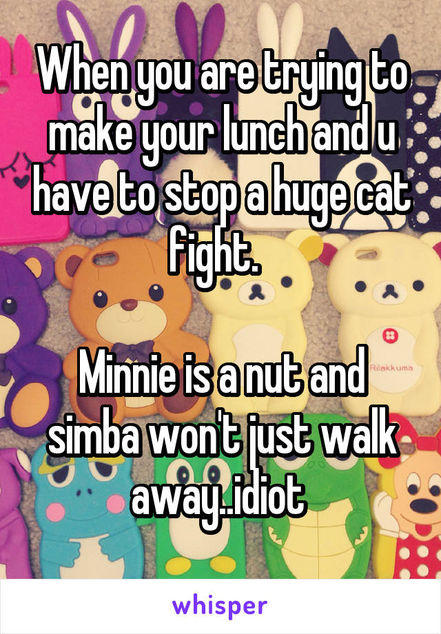 When you are trying to make your lunch and u have to stop a huge cat fight.  

Minnie is a nut and simba won't just walk away..idiot 
