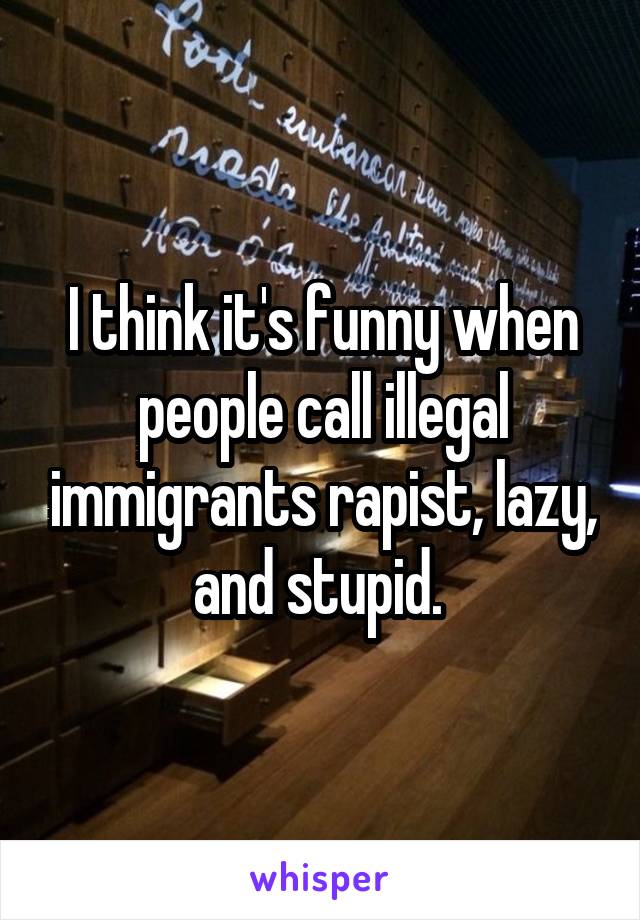 I think it's funny when people call illegal immigrants rapist, lazy, and stupid. 