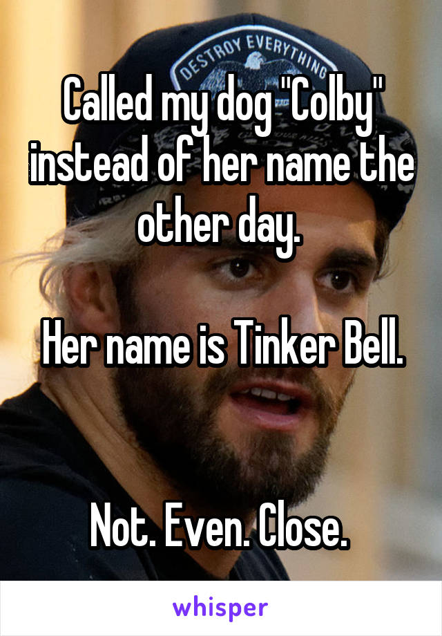 Called my dog "Colby" instead of her name the other day. 

Her name is Tinker Bell. 

Not. Even. Close. 