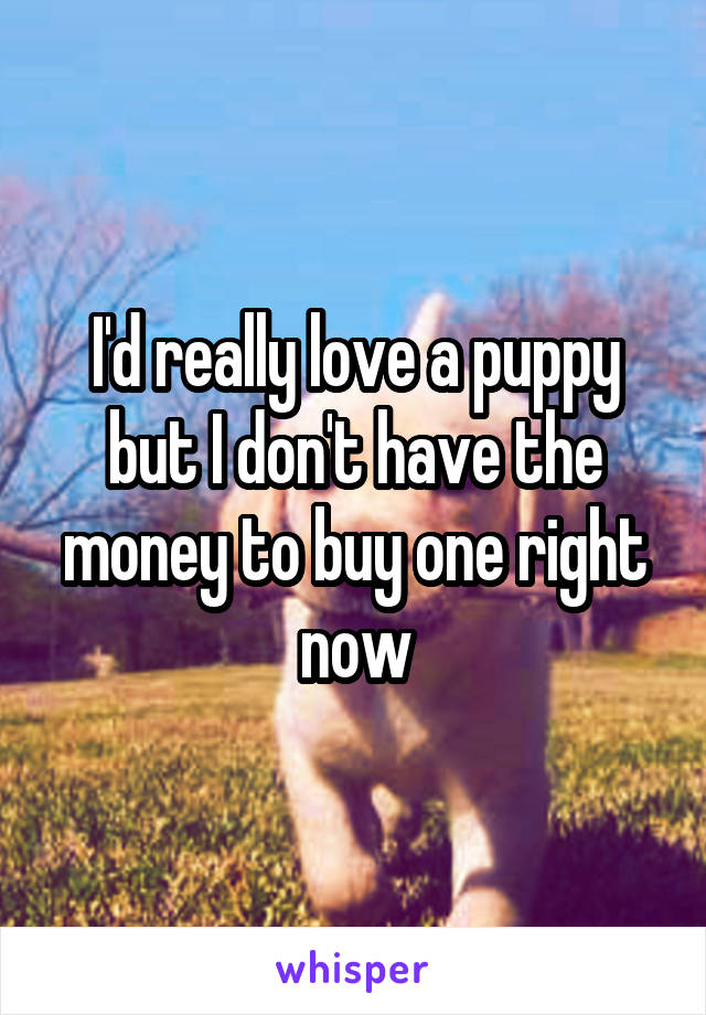 I'd really love a puppy but I don't have the money to buy one right now