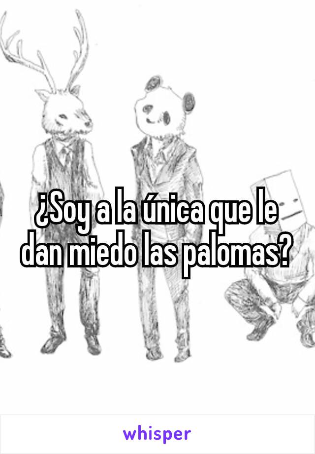 ¿Soy a la única que le dan miedo las palomas?