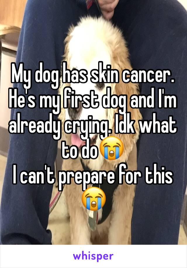 My dog has skin cancer. He's my first dog and I'm already crying. Idk what to do😭
I can't prepare for this
😭