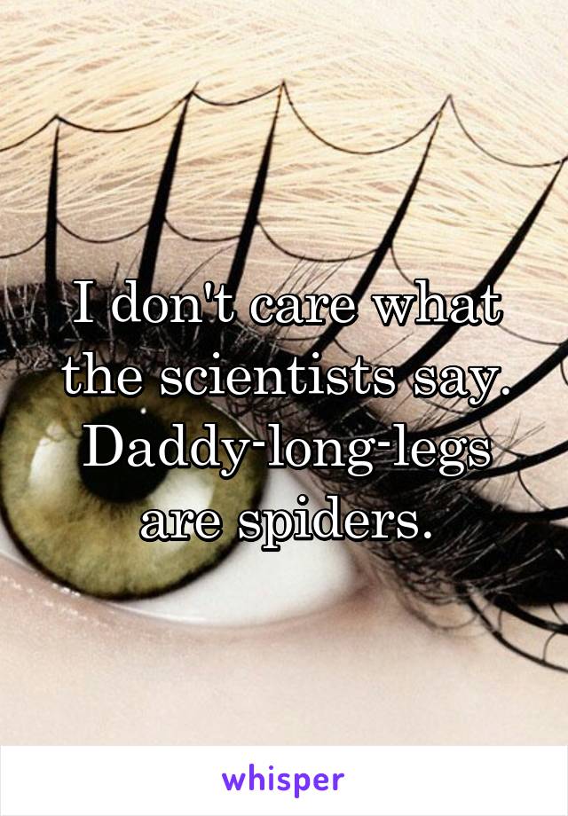 I don't care what the scientists say. Daddy-long-legs are spiders.