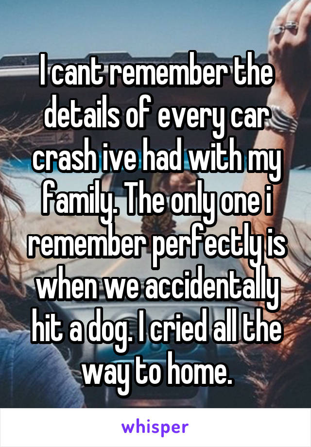 I cant remember the details of every car crash ive had with my family. The only one i remember perfectly is when we accidentally hit a dog. I cried all the way to home.