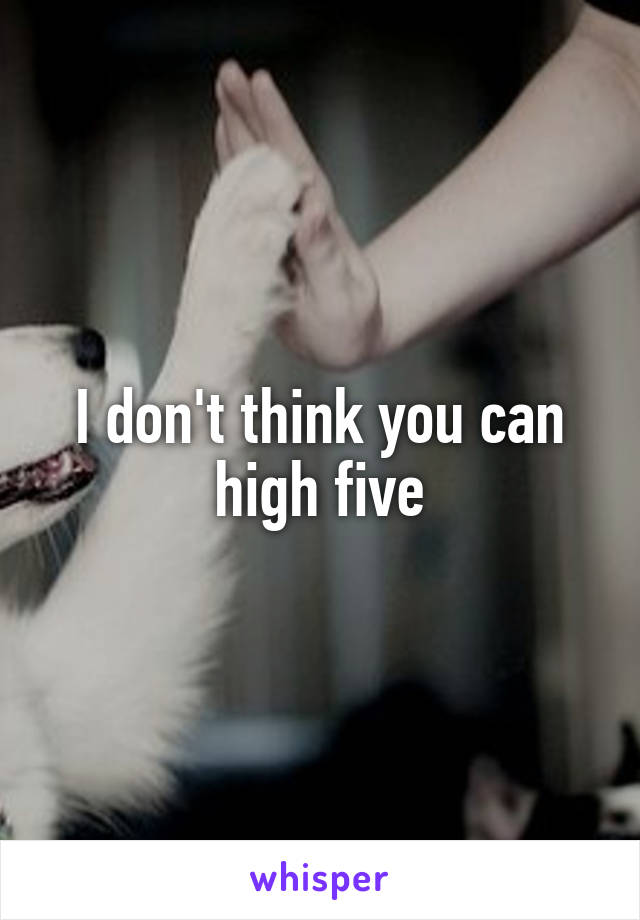 I don't think you can high five