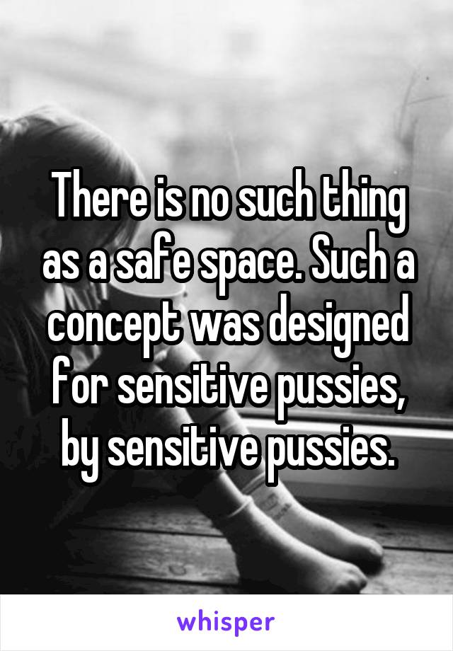 There is no such thing as a safe space. Such a concept was designed for sensitive pussies, by sensitive pussies.