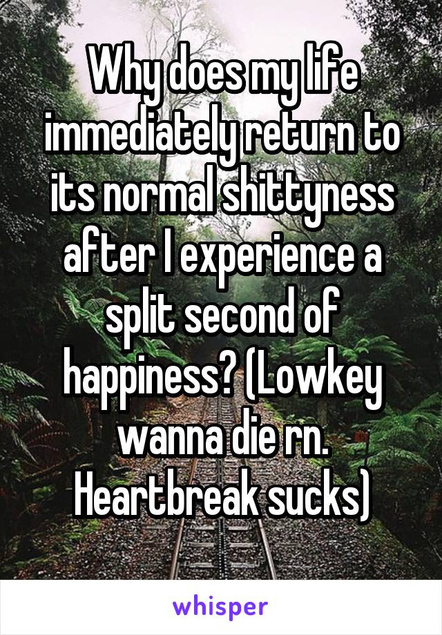 Why does my life immediately return to its normal shittyness after I experience a split second of happiness? (Lowkey wanna die rn. Heartbreak sucks)
