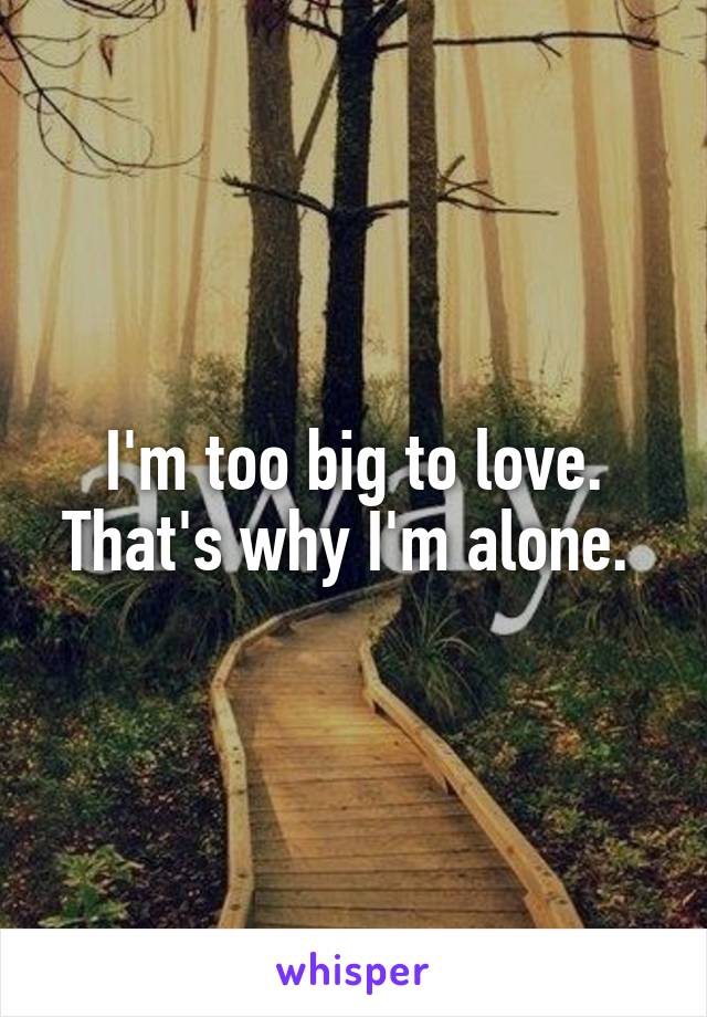 I'm too big to love. That's why I'm alone. 