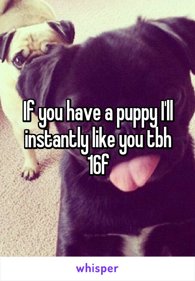 If you have a puppy I'll instantly like you tbh 16f