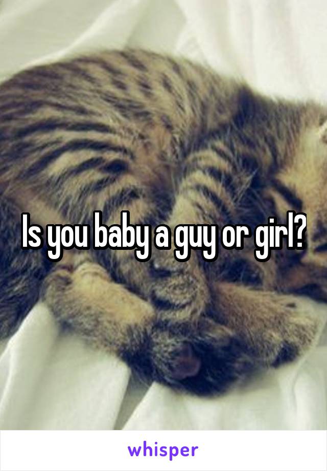 Is you baby a guy or girl?