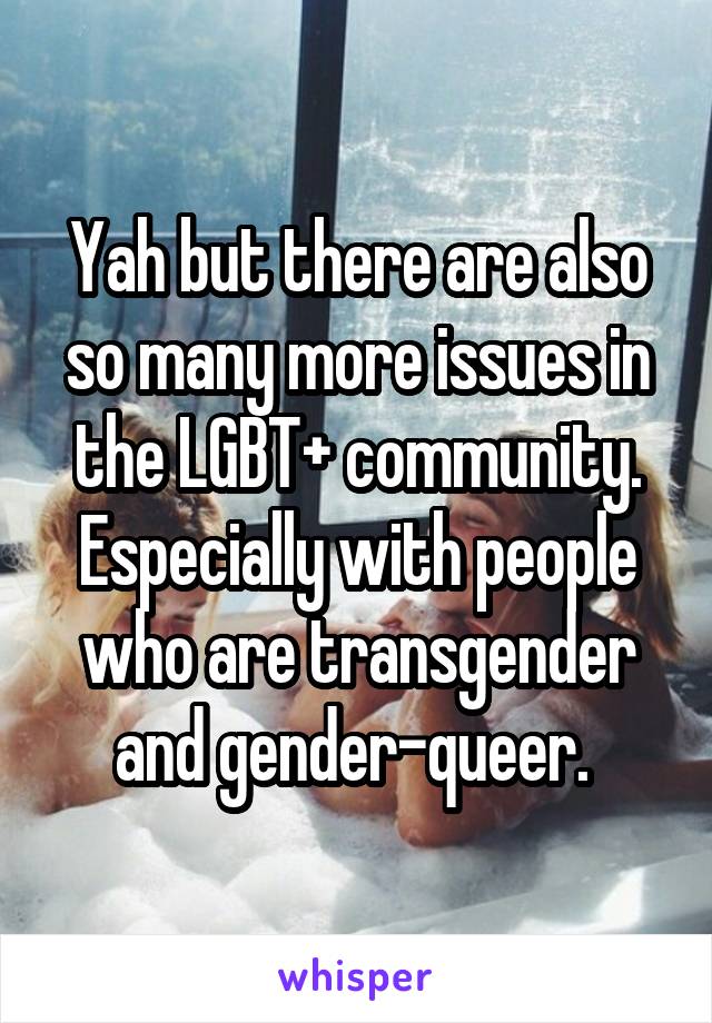 Yah but there are also so many more issues in the LGBT+ community. Especially with people who are transgender and gender-queer. 