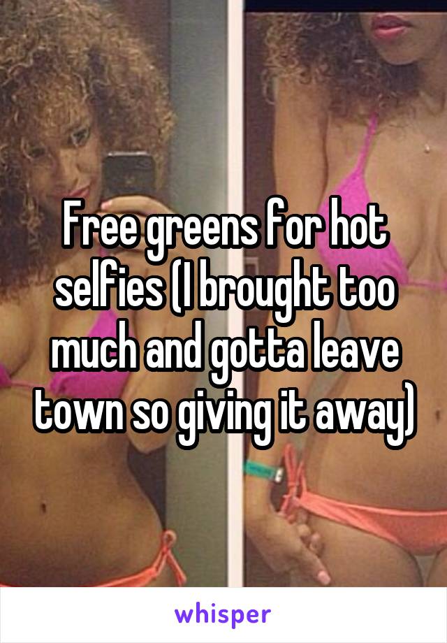 Free greens for hot selfies (I brought too much and gotta leave town so giving it away)