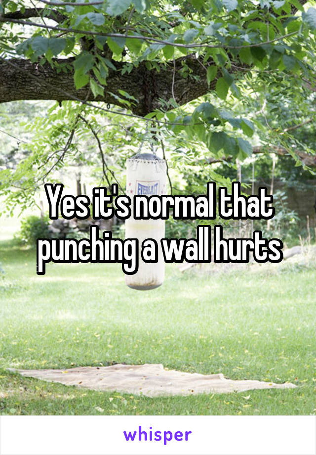 Yes it's normal that punching a wall hurts