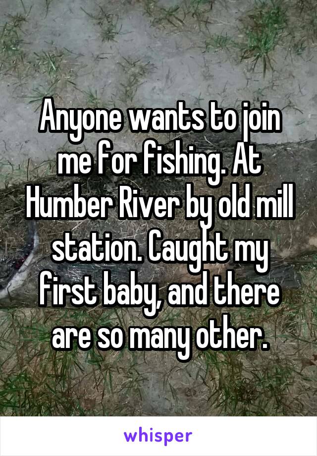 Anyone wants to join me for fishing. At Humber River by old mill station. Caught my first baby, and there are so many other.