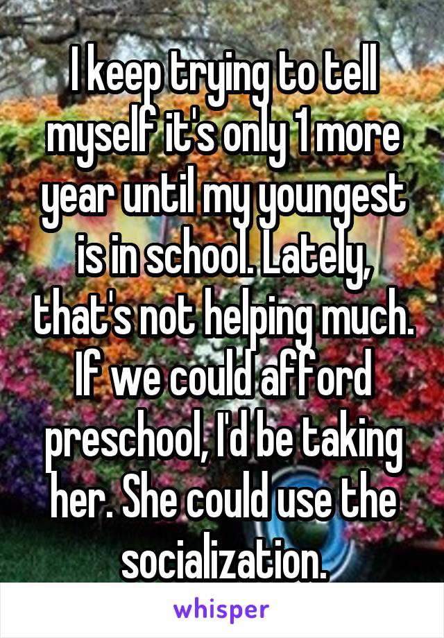 I keep trying to tell myself it's only 1 more year until my youngest is in school. Lately, that's not helping much. If we could afford preschool, I'd be taking her. She could use the socialization.