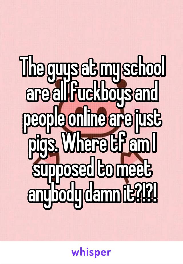 The guys at my school are all fuckboys and people online are just pigs. Where tf am I supposed to meet anybody damn it?!?!