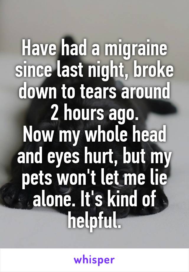 Have had a migraine since last night, broke down to tears around 2 hours ago.
Now my whole head and eyes hurt, but my pets won't let me lie alone. It's kind of helpful.