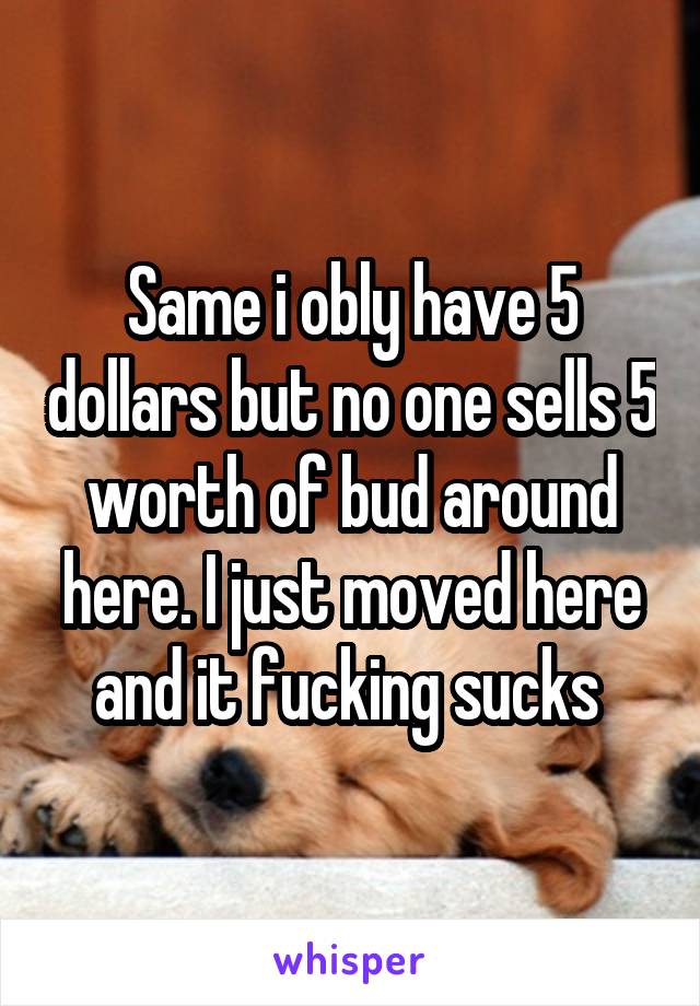 Same i obly have 5 dollars but no one sells 5 worth of bud around here. I just moved here and it fucking sucks 