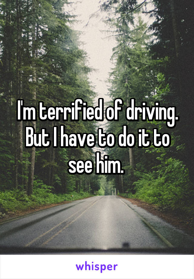 I'm terrified of driving. But I have to do it to see him. 